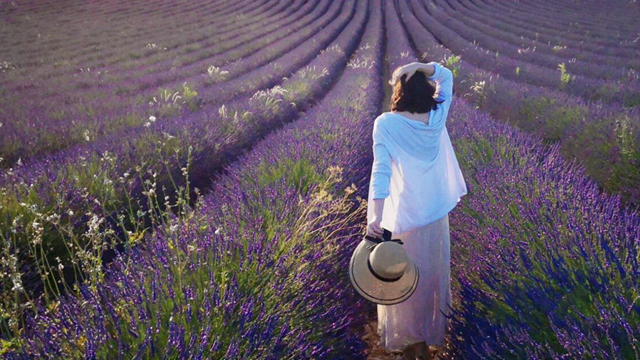 Campos-de-Lavanda-de-la-Provenza-Francesa