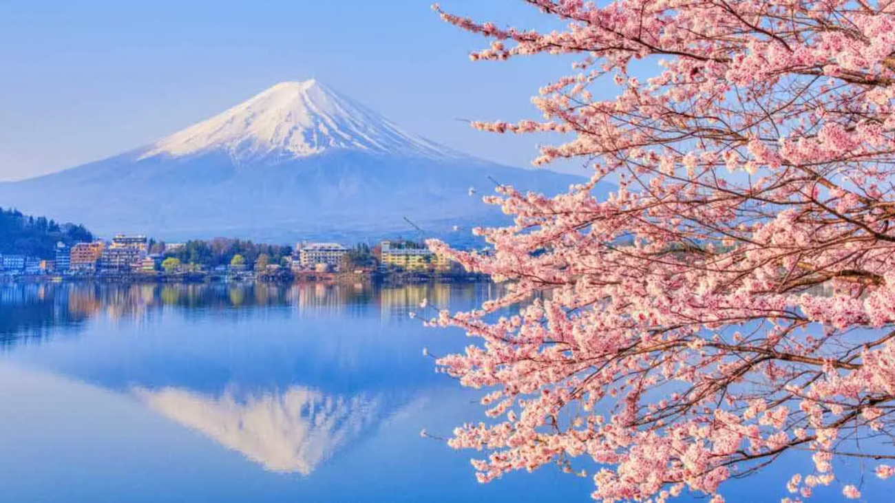 Japón en primavera