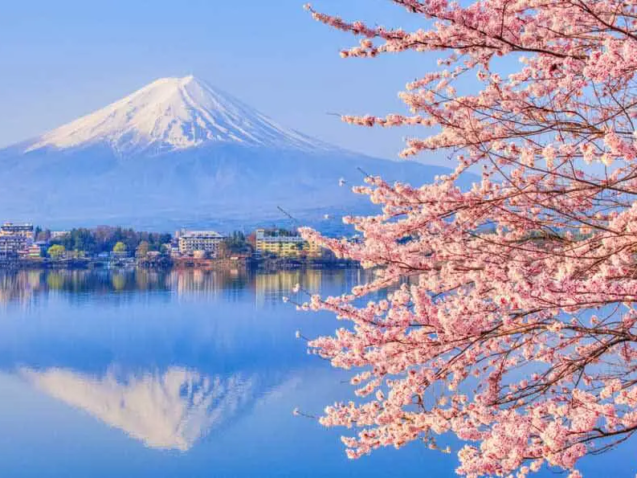 Japón en primavera